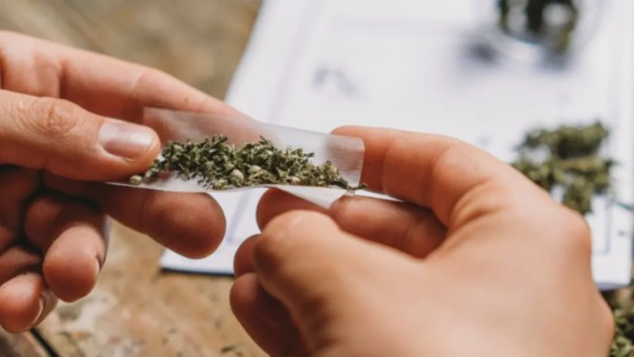 Ganja Seized Ganja Image Marijuana Weed Drugs Smuggling Drugs Seized
