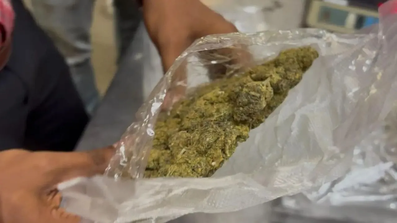 Ganja Seized Ganja Image Marijuana Weed Drugs Smuggling Drugs Seizure