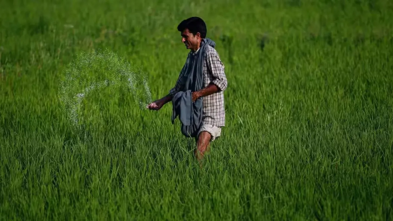 DAP imports from China Urea Fertilisers farmers agriculture PM-KISAN