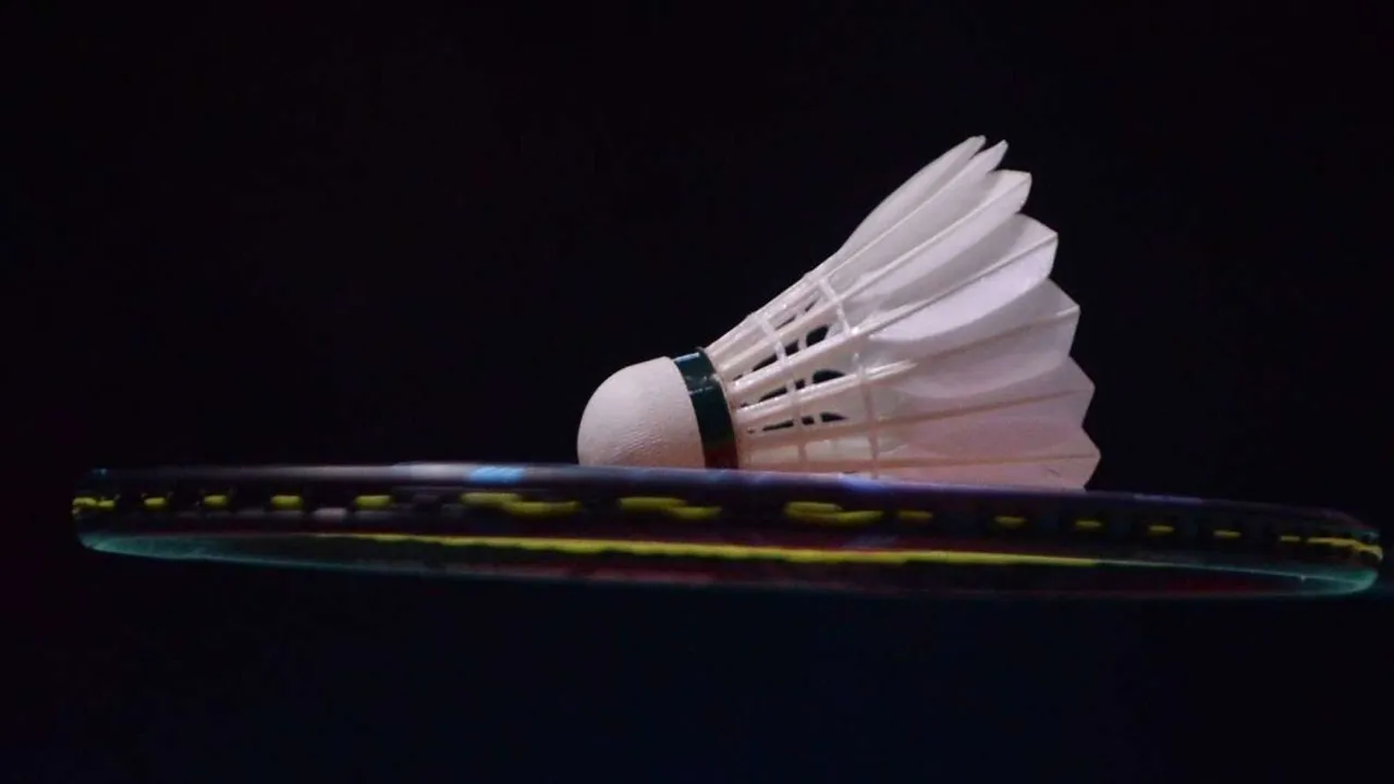 Badminton Shuttlecock Crisis