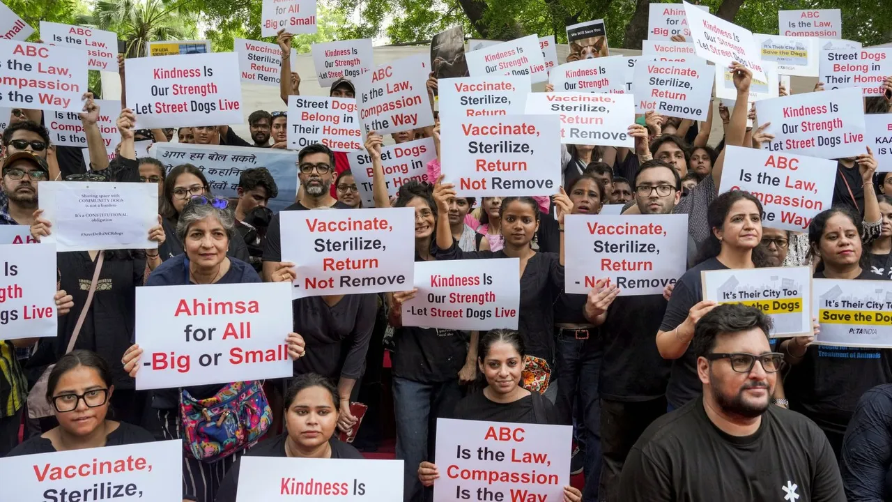 Stray Dogs Ban Protest Jantar Mantar