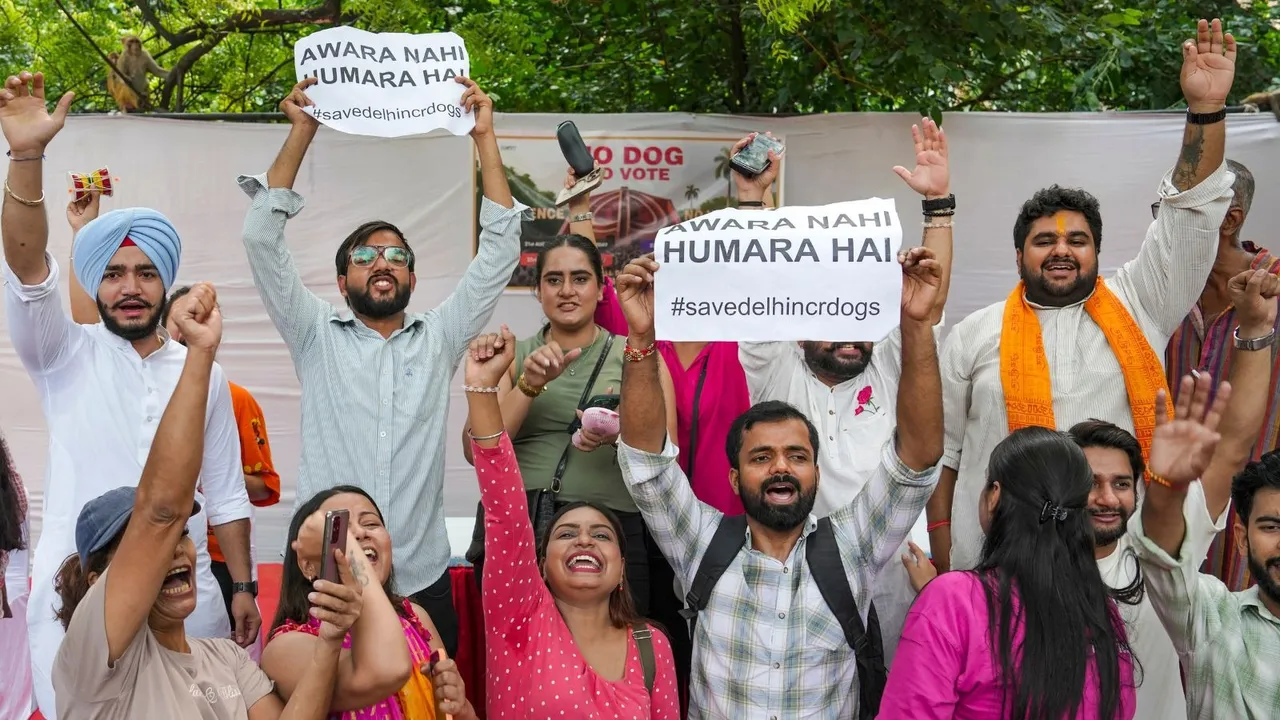 Dog Lovers Stray Dogs Jantar Mantar Delhi