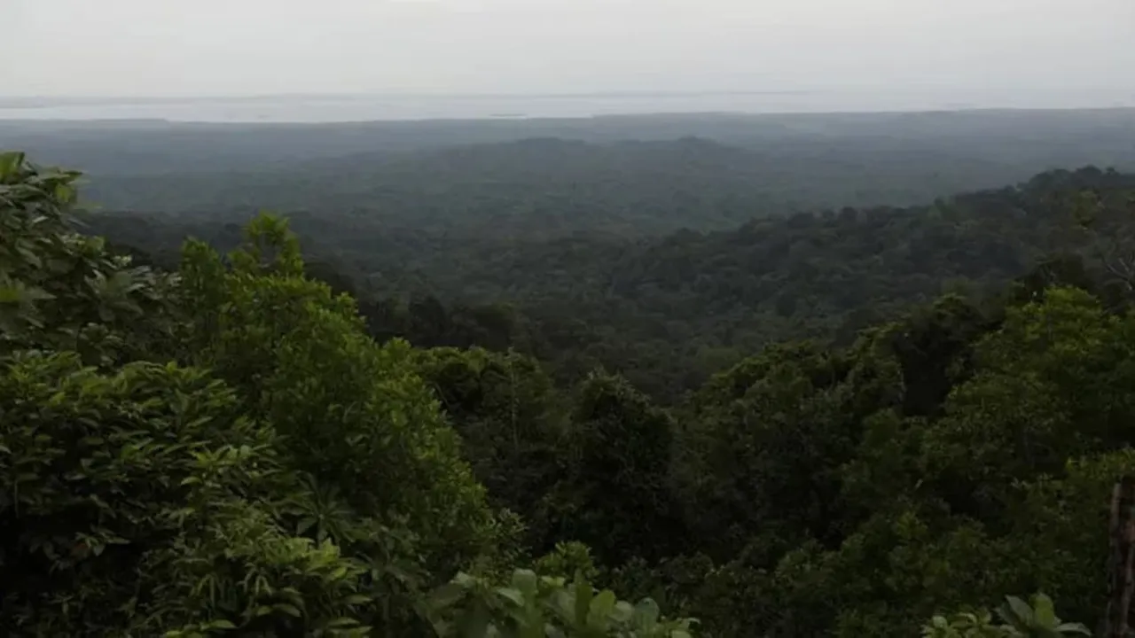 Zudpi jungle Vidarbha Maharashtra