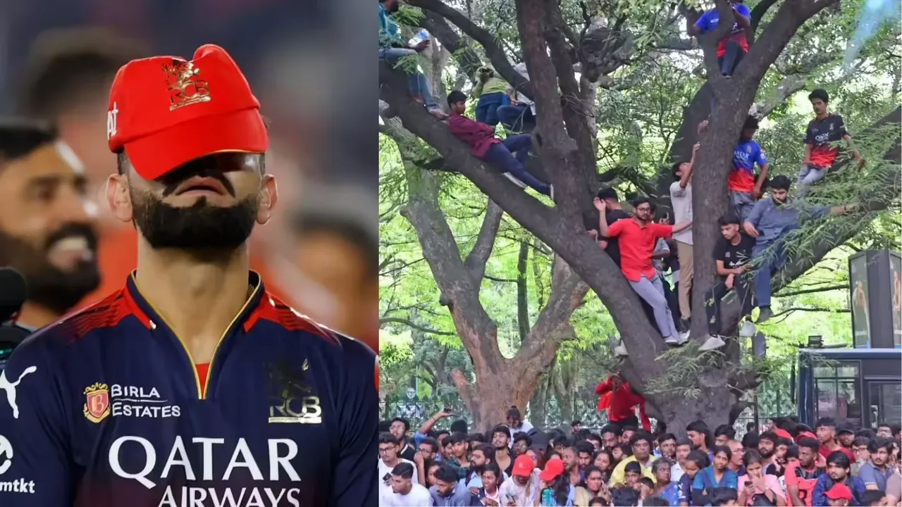 RCB Stampede Bengaluru Stampede
