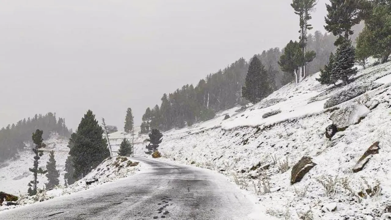 Jammu And Kashmir Snowfall Anantnag Snowfall