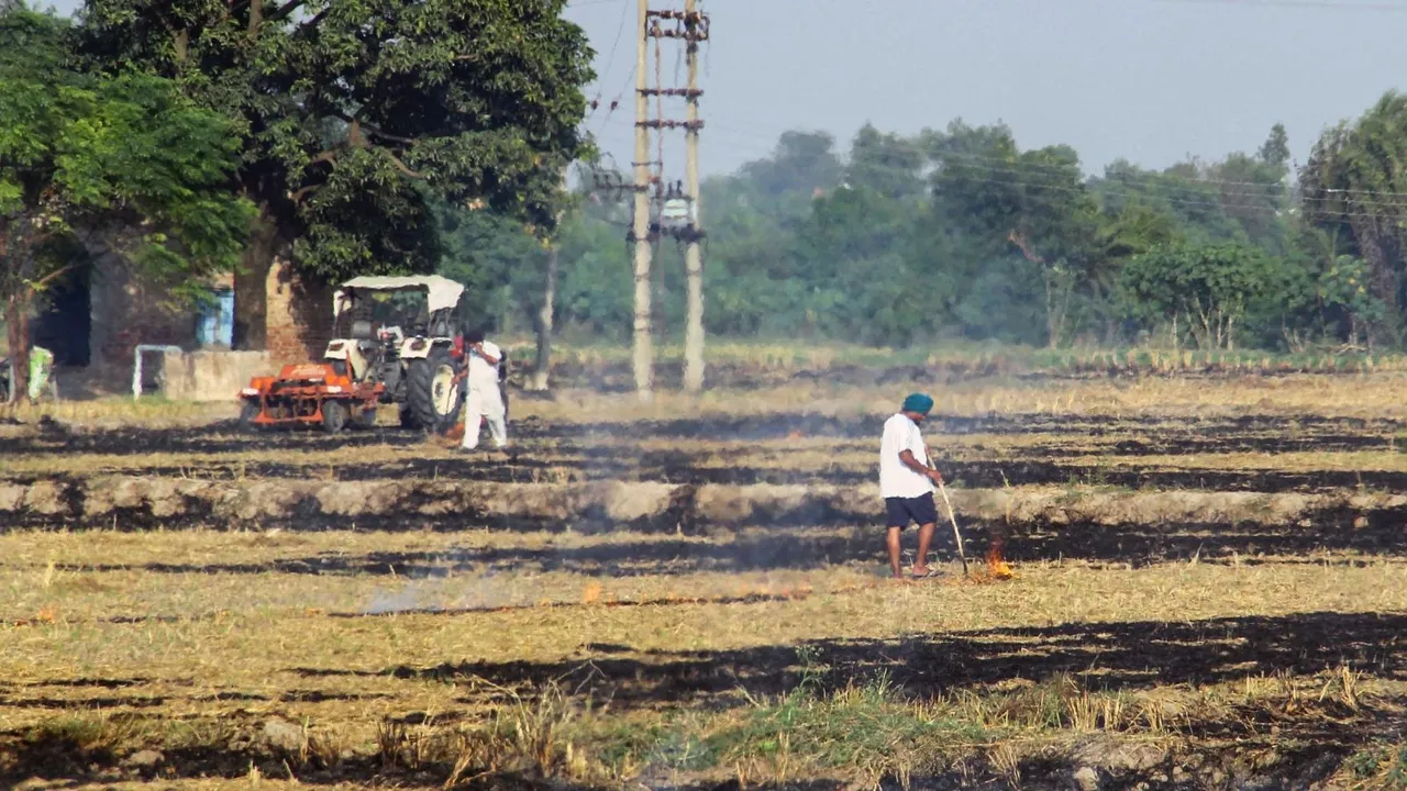 Stubble Burning in Punjab Farm Fires