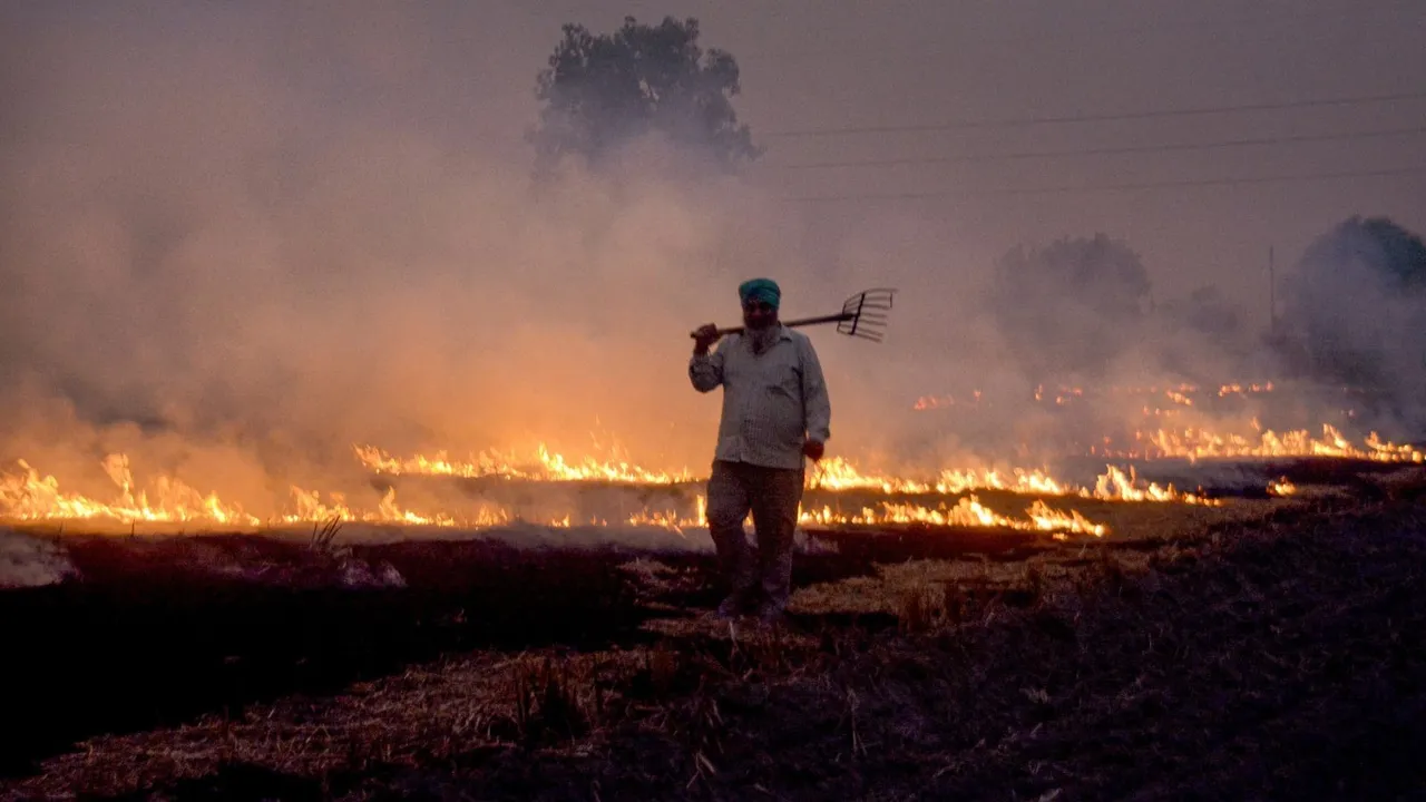 Stubble burning in Punjab Patiala