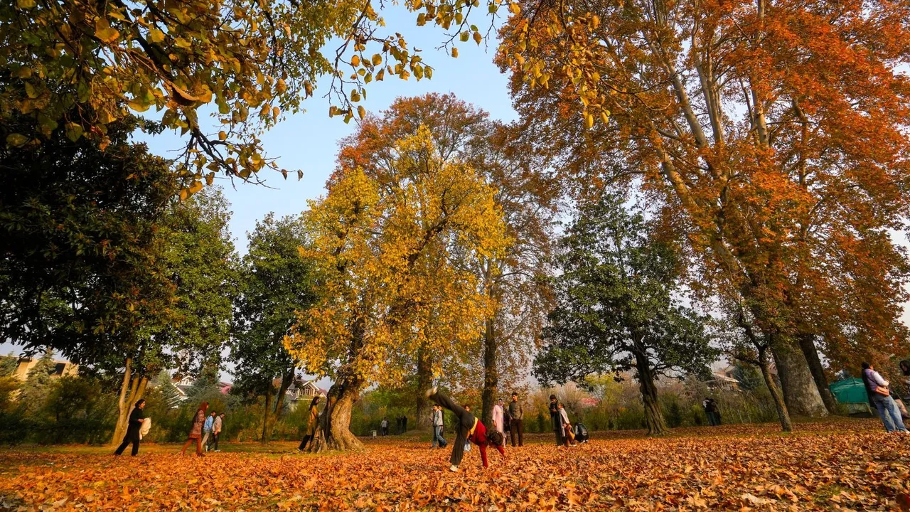 Autumn in Srinagar
