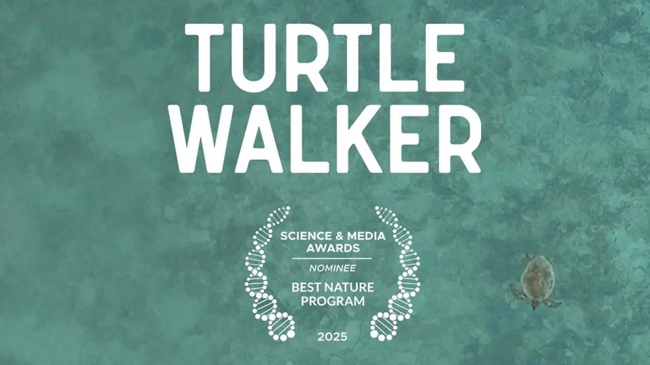 Turtle Walker
