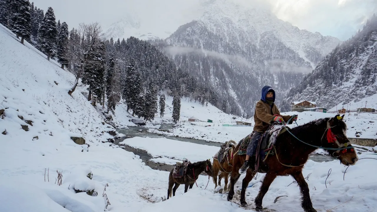 Sonamarg Snowfall Jammu And Kashmir Snowfall