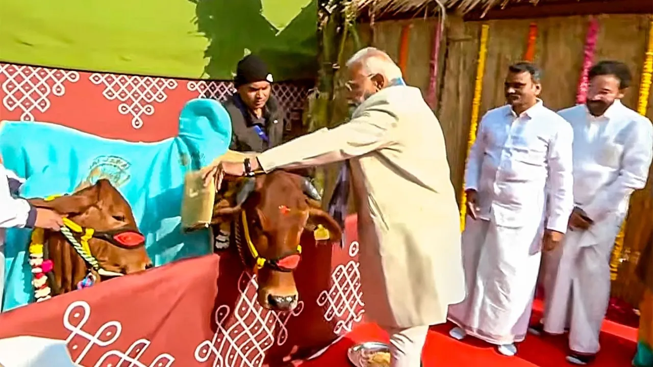 Narendra Modi Pongal Celebrations