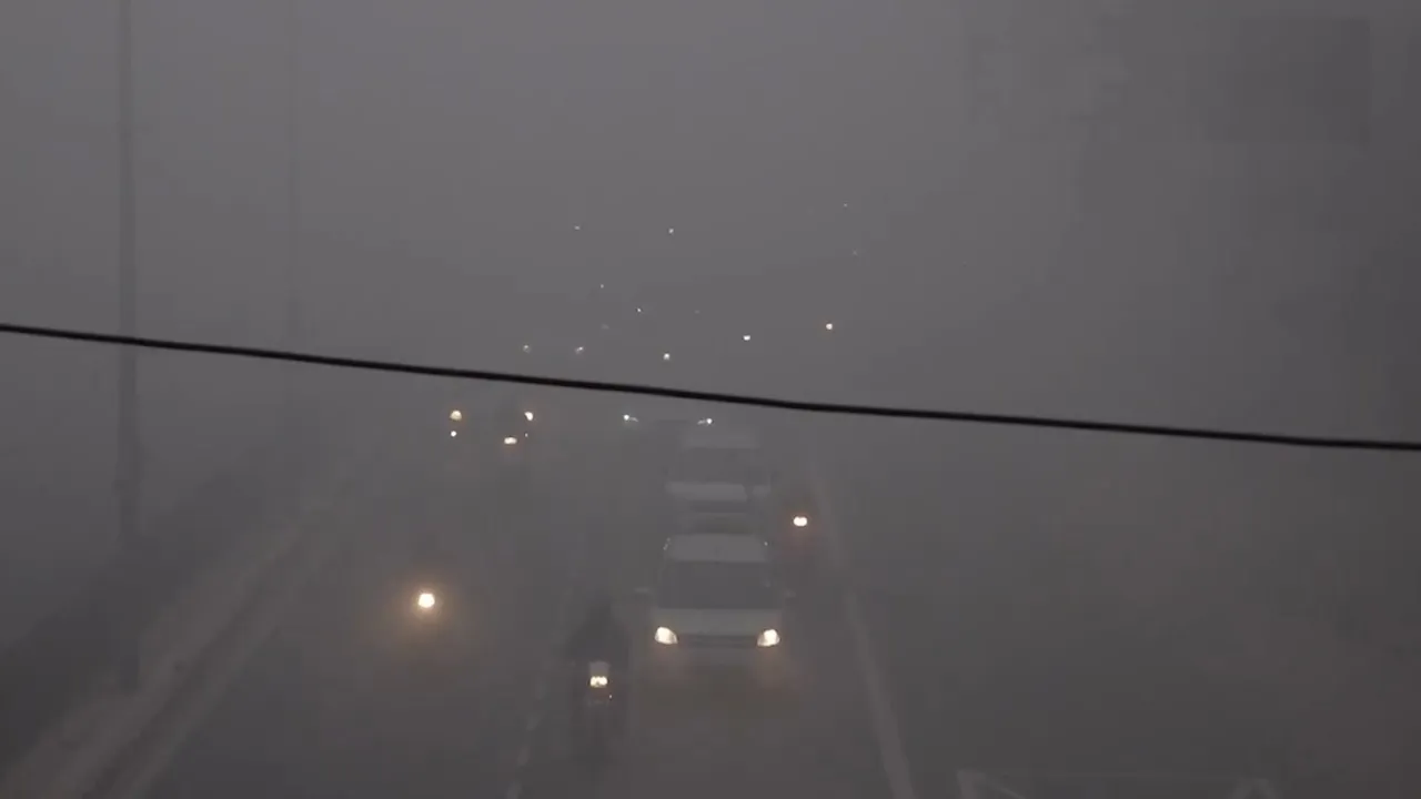 delhi fog