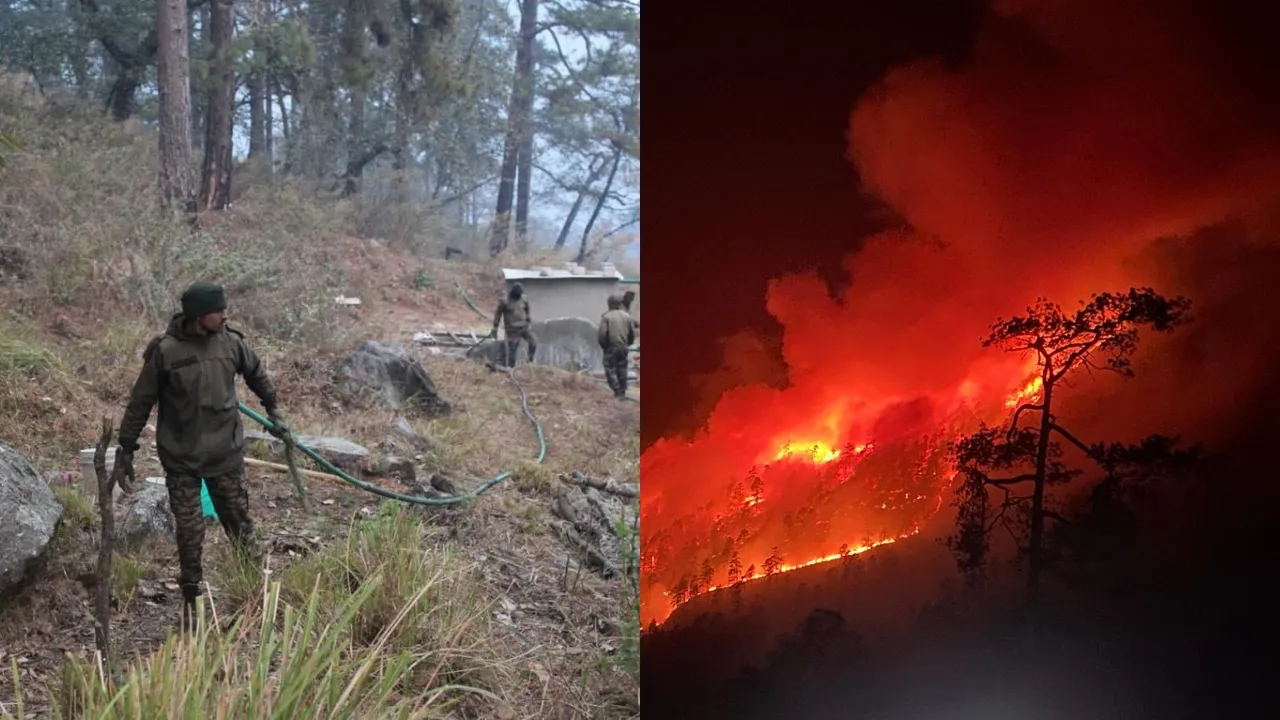 Arunachal Pradesh Fire Lohit Fire Anjaw Fire