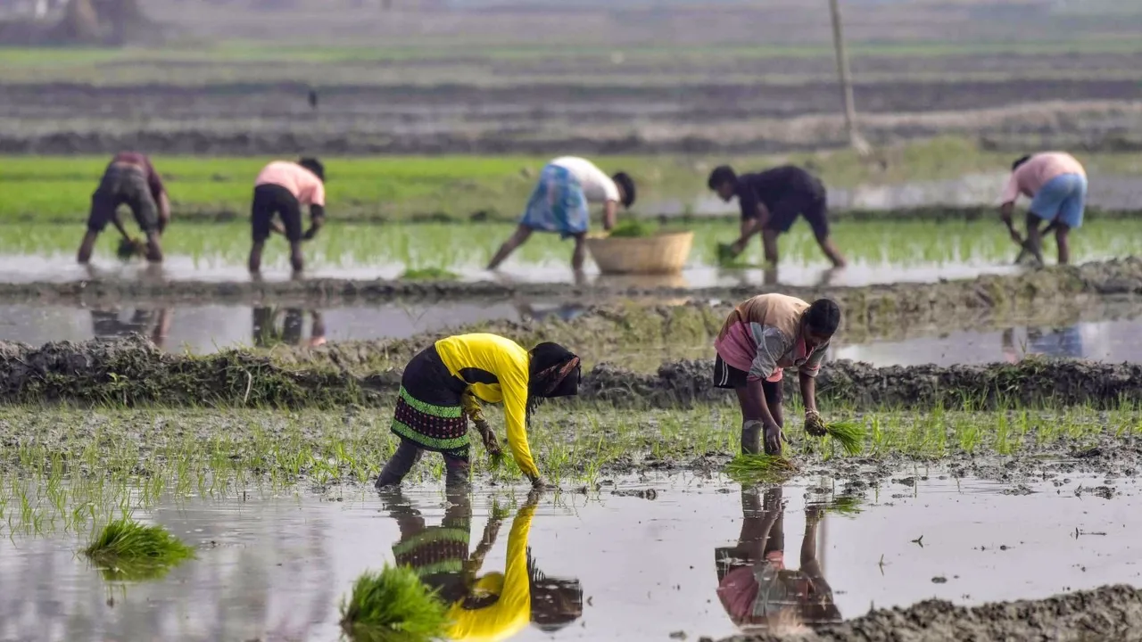 Agriculture Image Subsidy Farmers Paddy