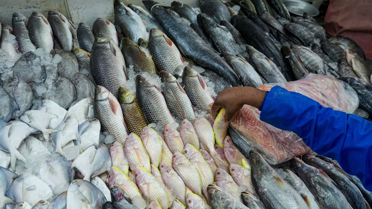 Fisheries Animal Husbandry Dairying Fishing Fish Farming