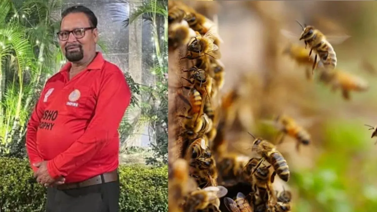 Unnao Bee Attack