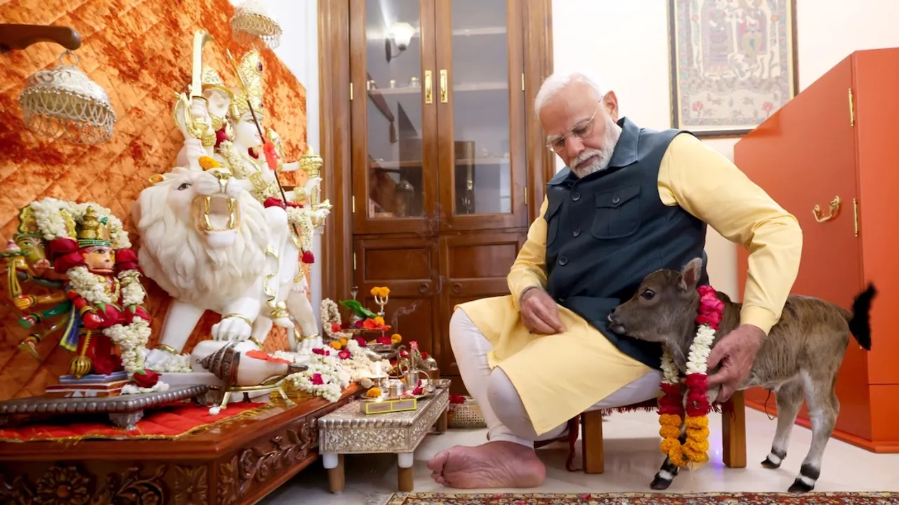 Narendra Modi at his residence with the newly born calf