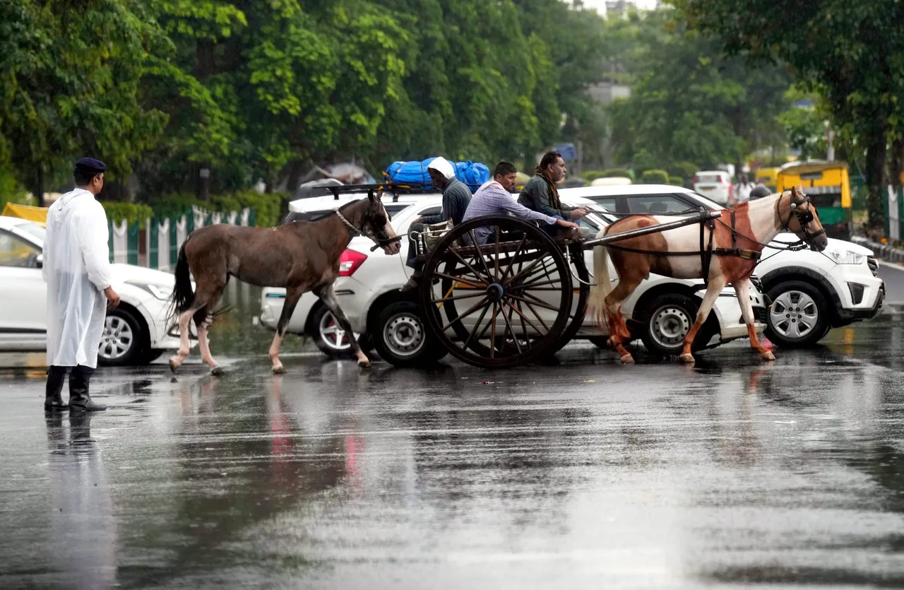A horse cart seen amid heavy monsoon rains, in New Delhi.jpg