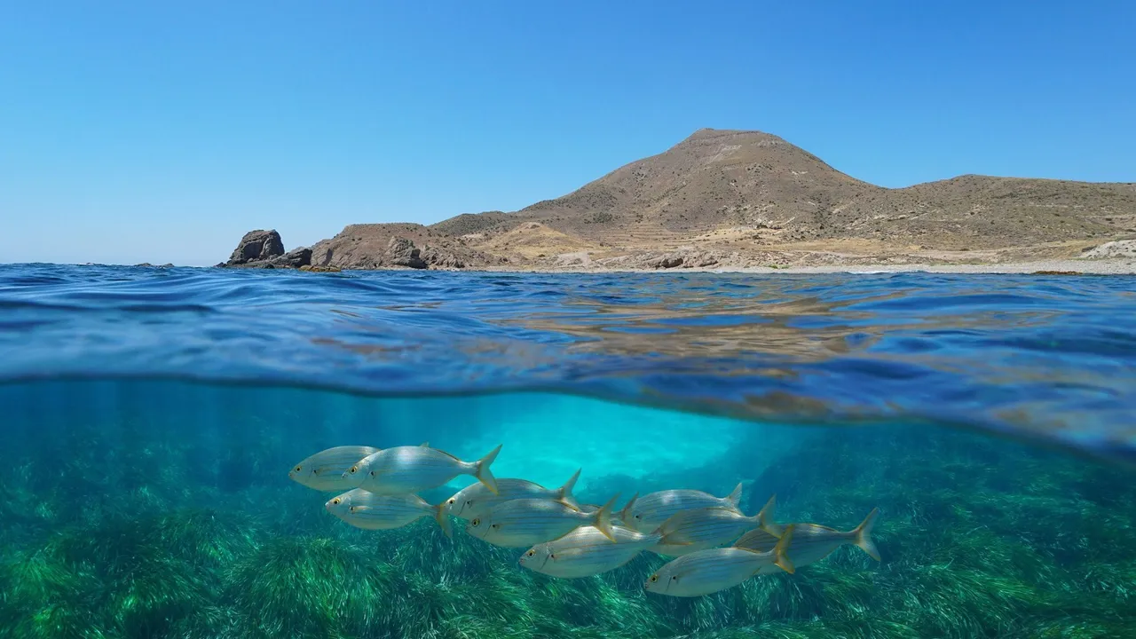 coastal ecosystem.jpg