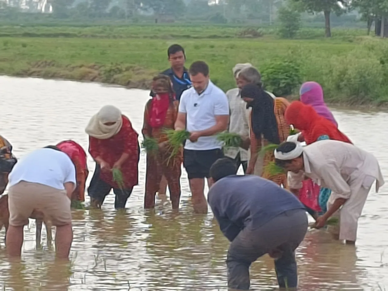 Rahul Gandhi Farmer
