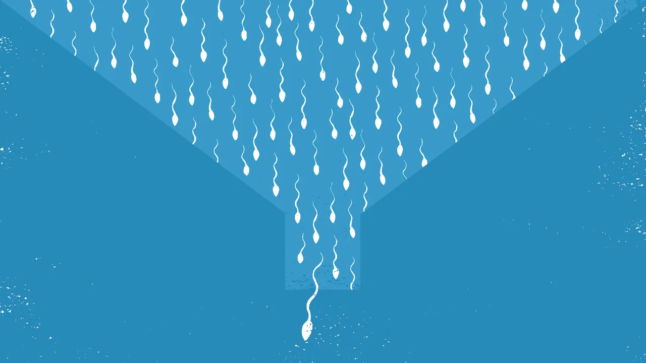 Sperm Count Infertility Reproduction Health