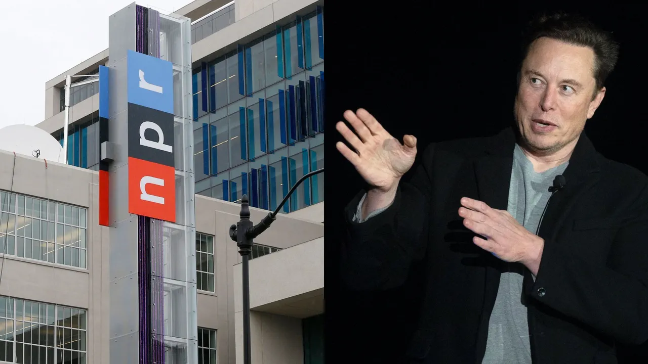 NPR Elon Musk.jpg