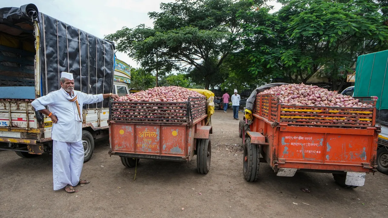 A farmer at Vinchur onion market during farmers and traders’ strike against the central government's decision to impose export duty of 40 per cent on onions till December 31, in Nashik