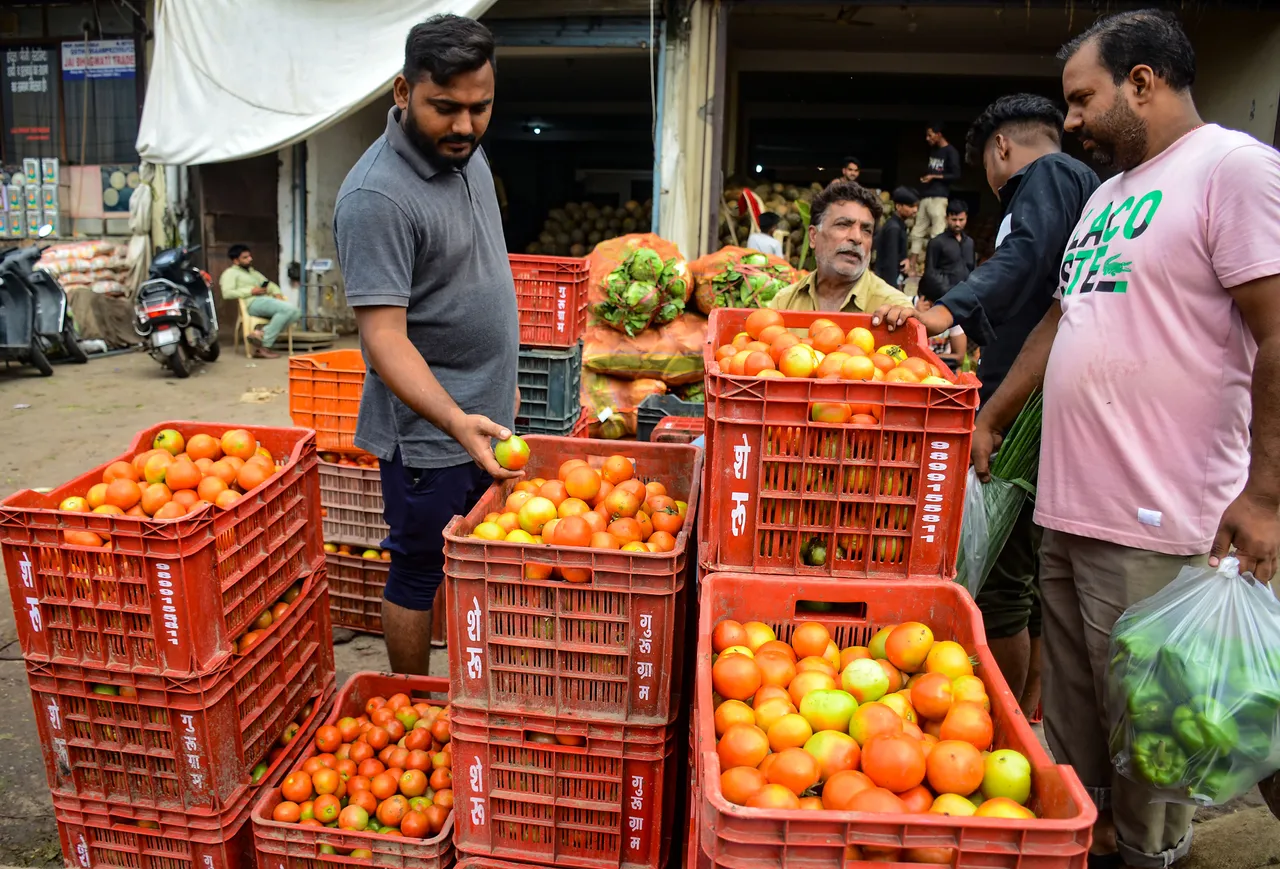 Customers at a tomato vendor in a vegetable market, in Gurugram