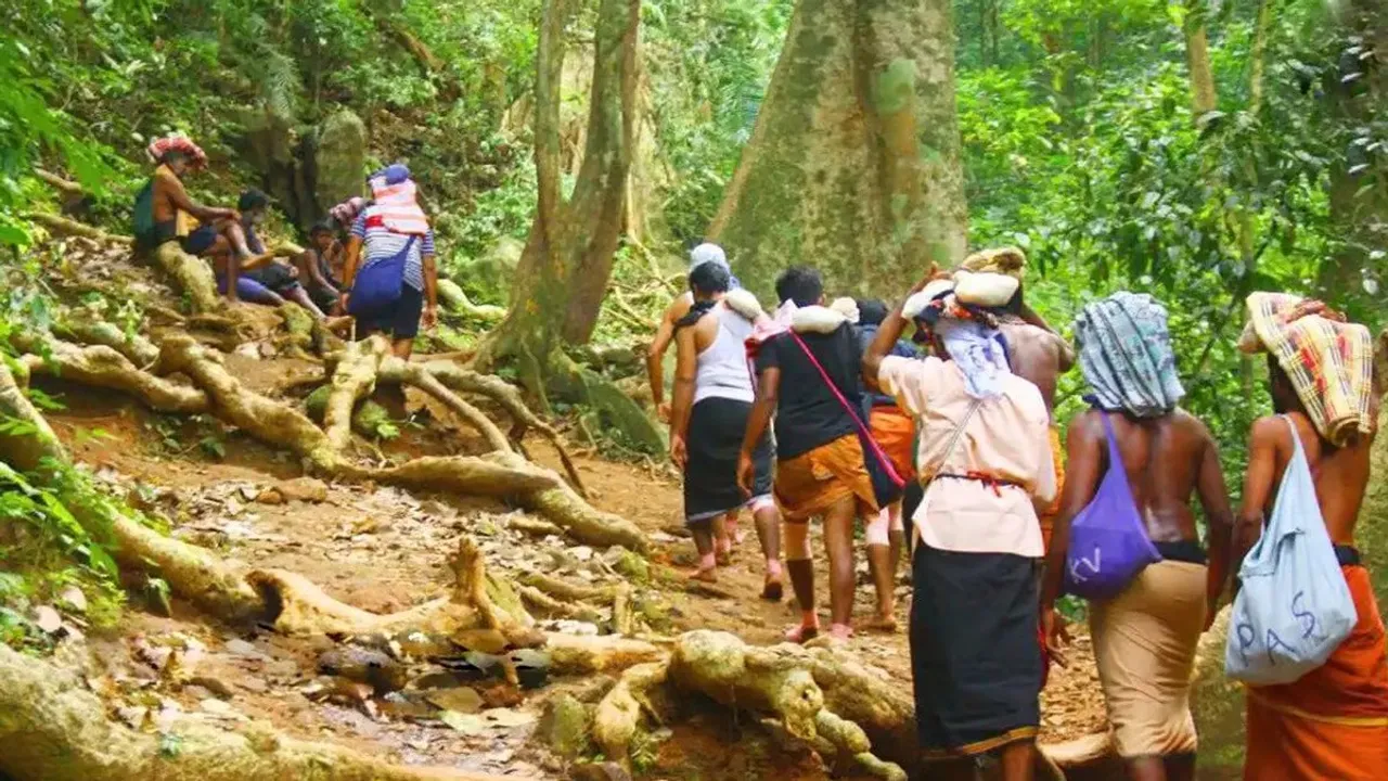 Sabarimala Snakes