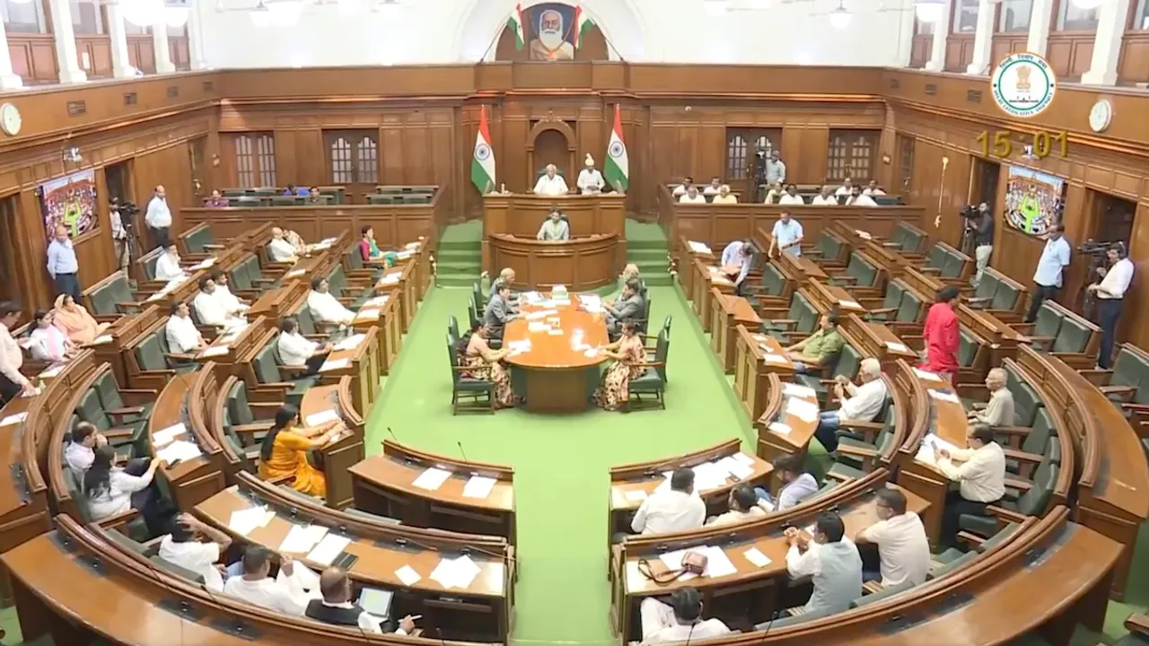Delhi assembly