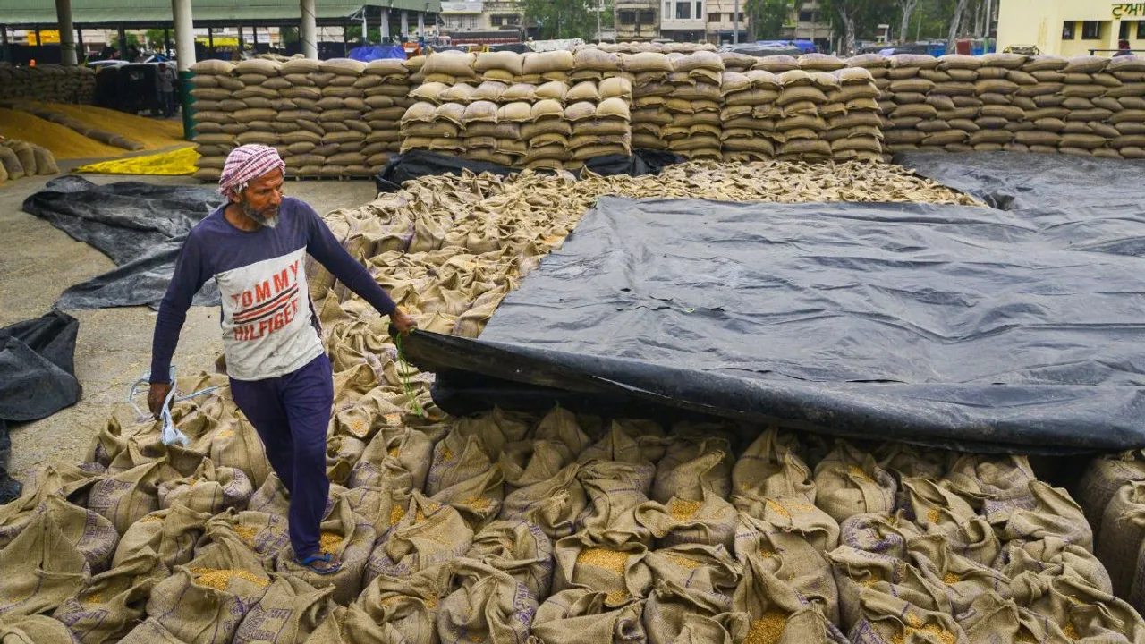 Sacks of wheat