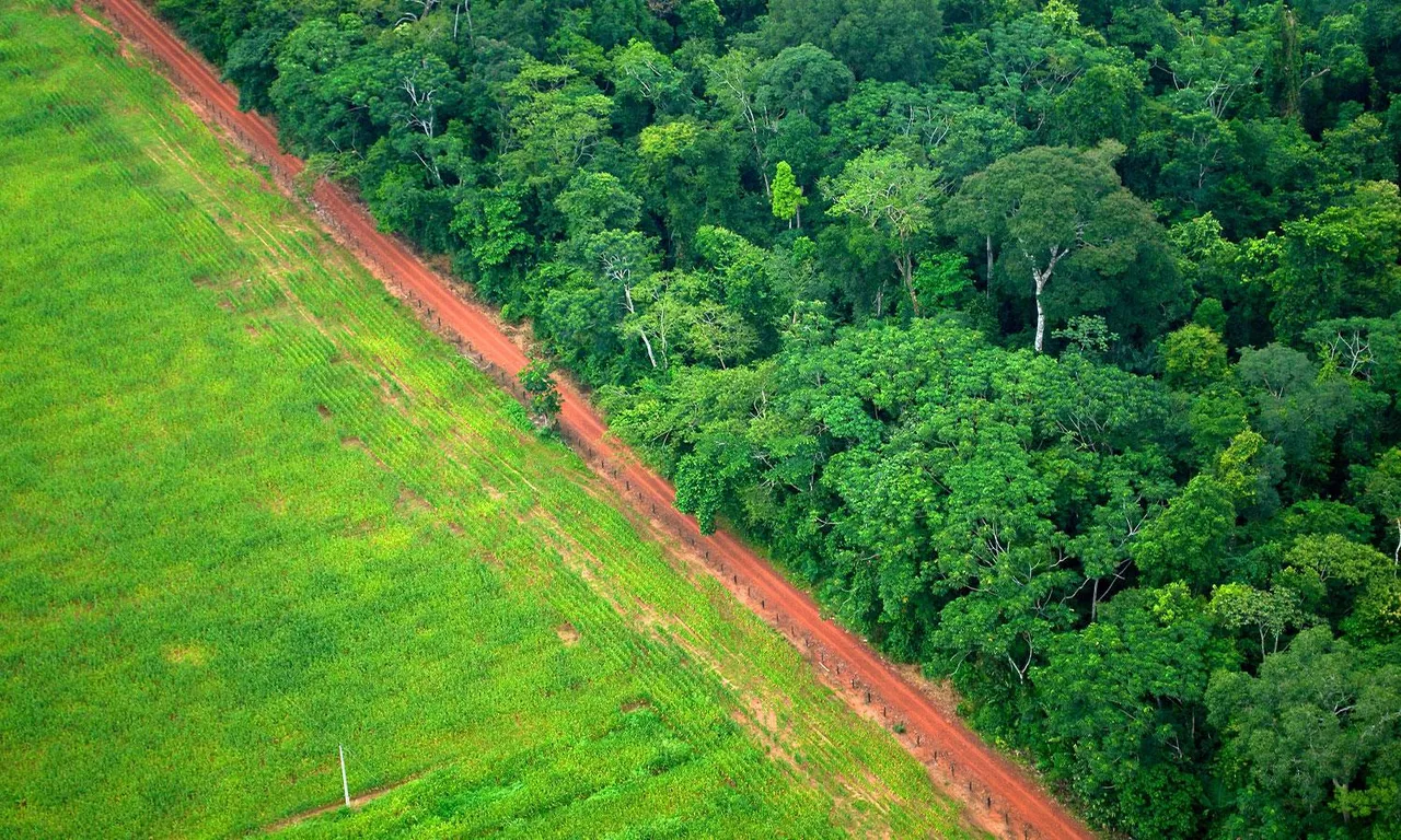 Climate change is making trees bigger Green Cover Forest