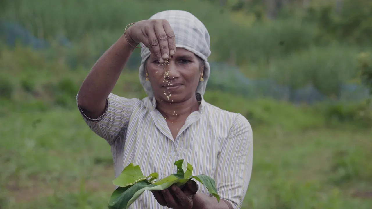 Woman Farmer Kerala.jpg