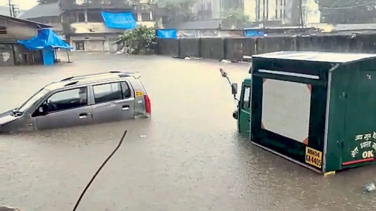 Vidarbha rains
