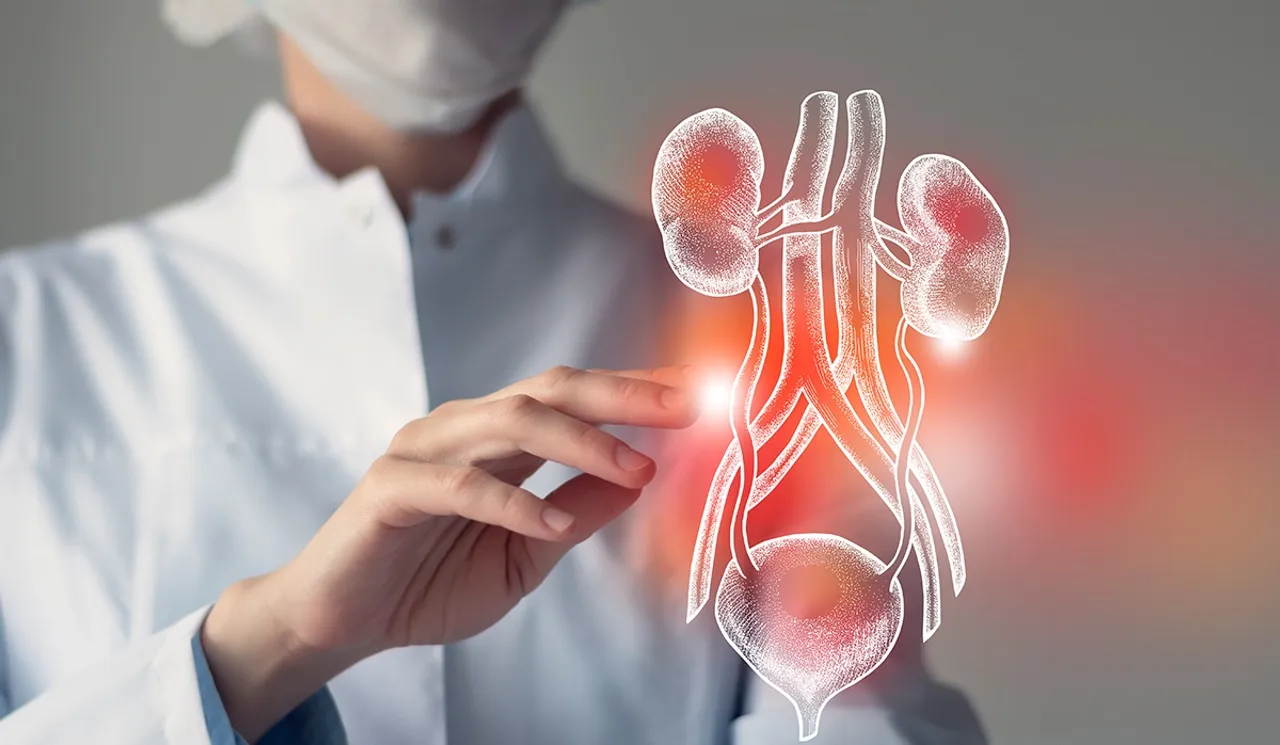  Nephrology.jpg