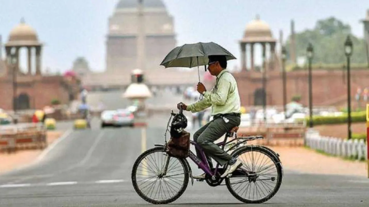 delhi weather.jpg