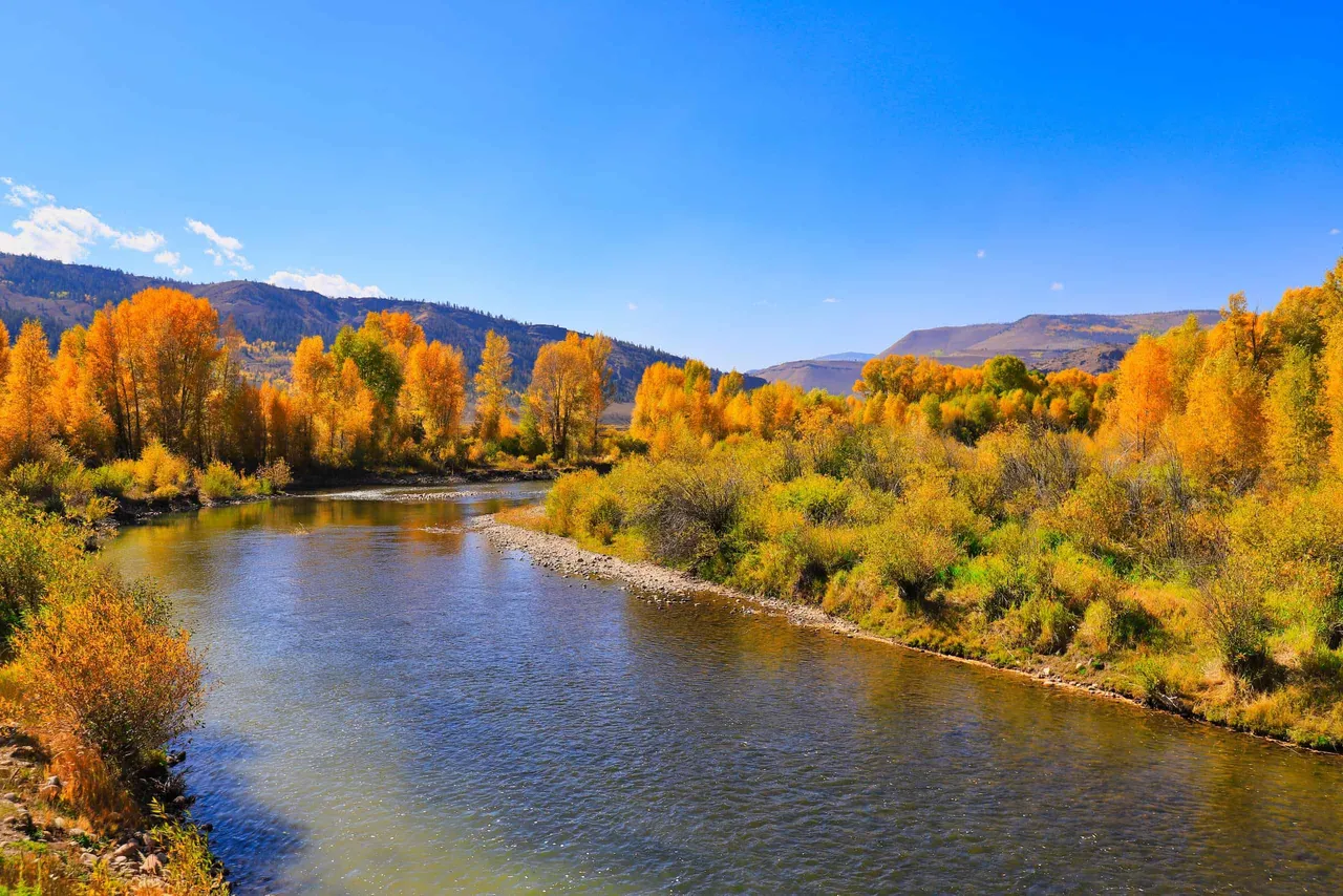 River Nature Forest Climate Pollution Conservation