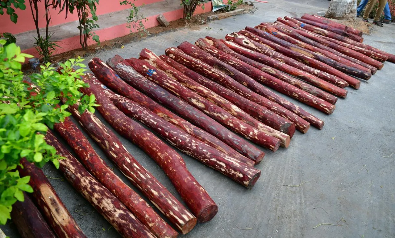Red sanders.jpg