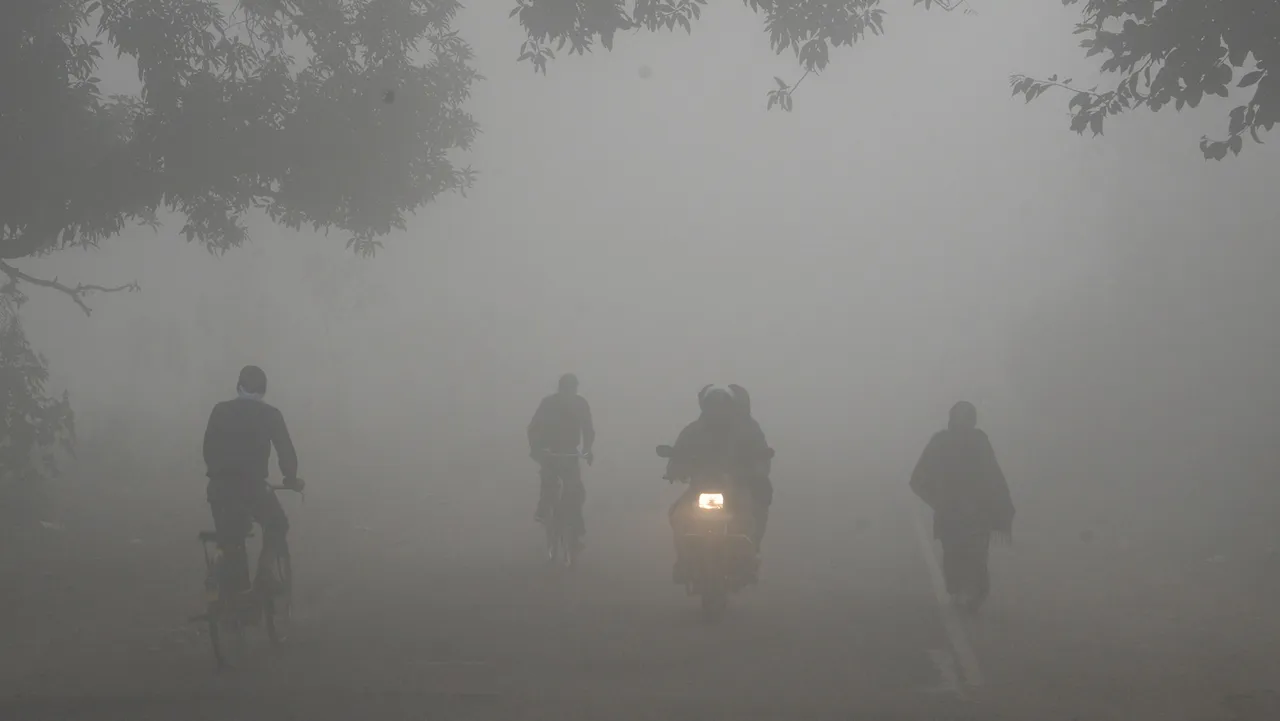 FOG MORNING HARYANA