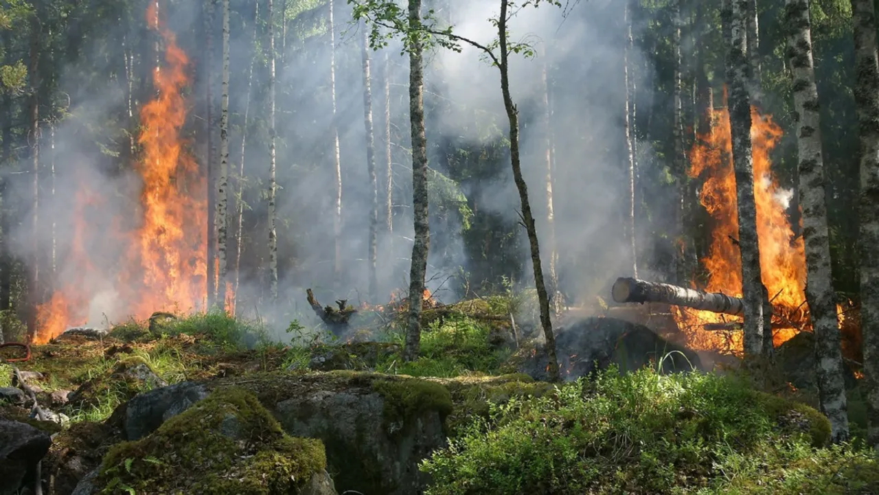 Bushfire asthama.jpg