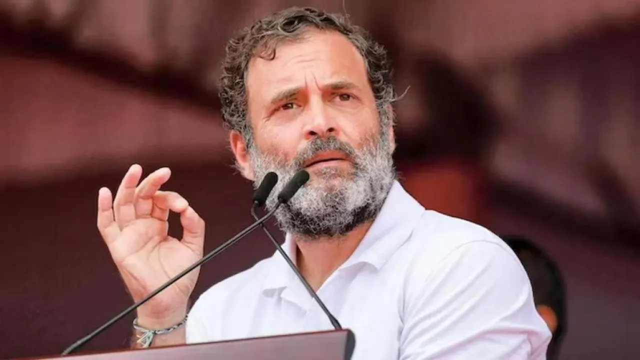 Lok Sabha Congress Rahul Gandhi