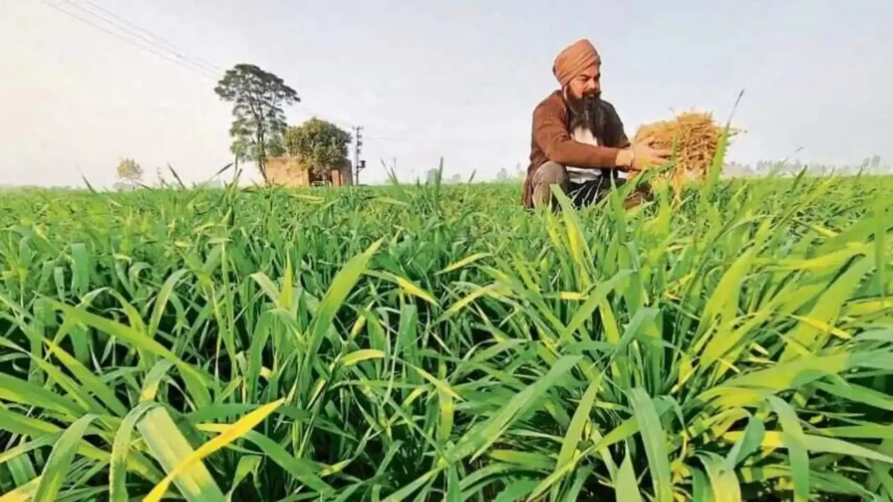 sustainable farming practices.jpg