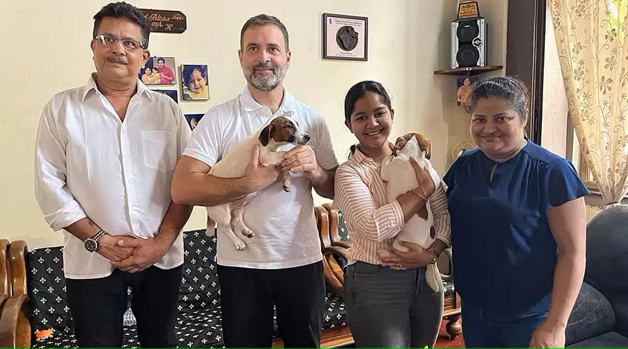 Rahul Gandhi Dogs