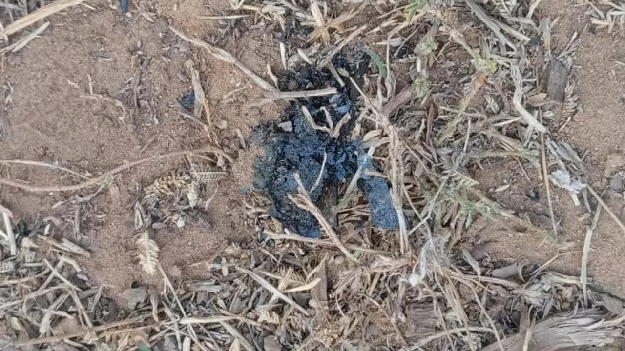 Burnt phone Parliament breach.jpg