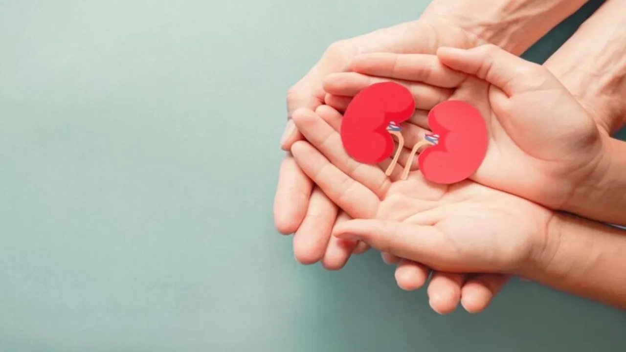 Organ Donation Organ Transplant