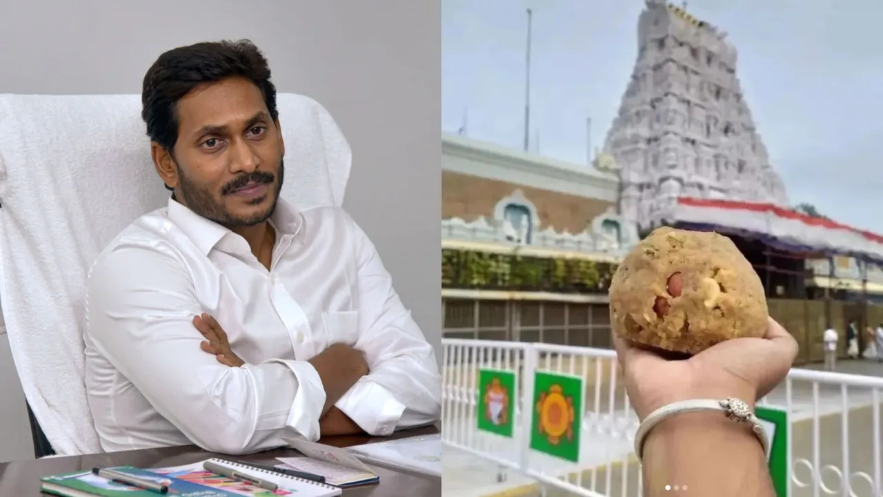 Y S Jagan Mohan Reddy Tirupati Laddu