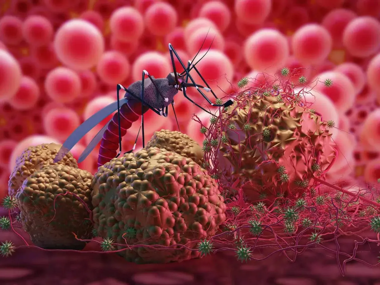 dengue virus.jpg