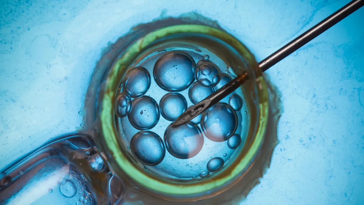 assisted reproduction technology.jpg