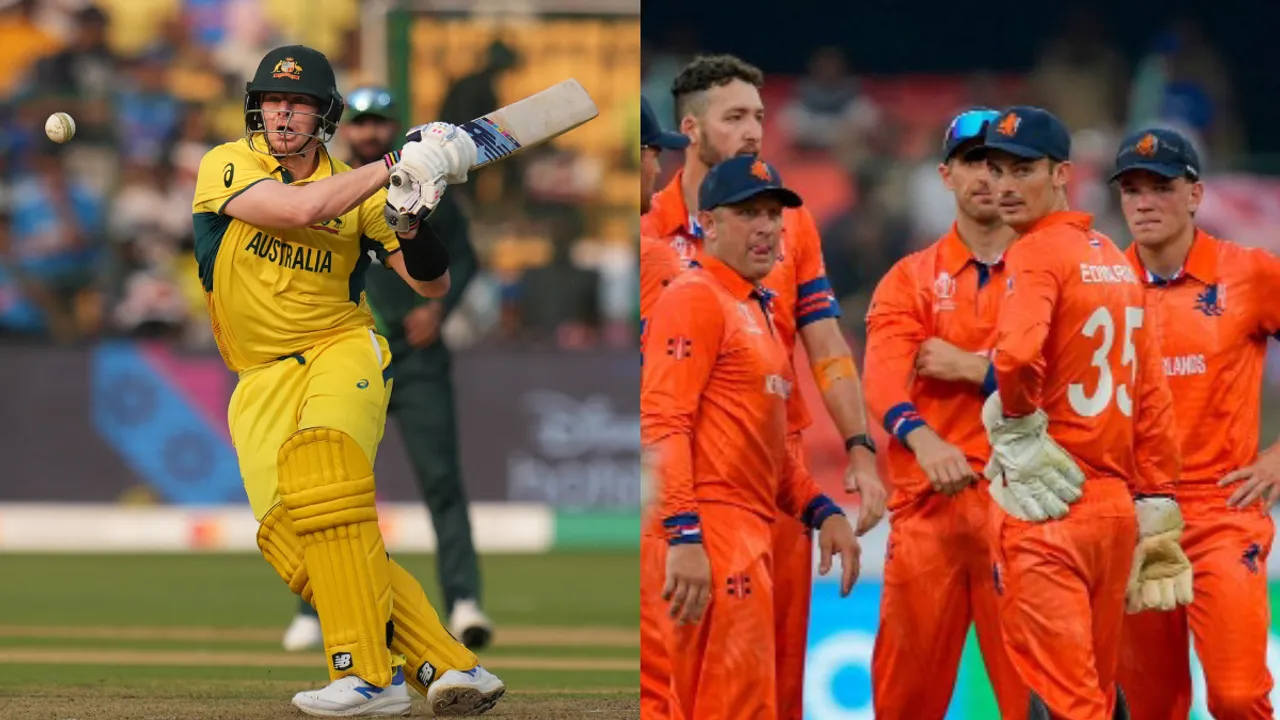 australia vs netherlands.jpg