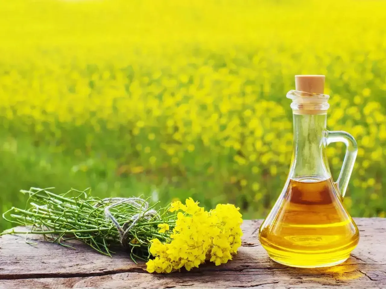 Mustard Oil.jpg